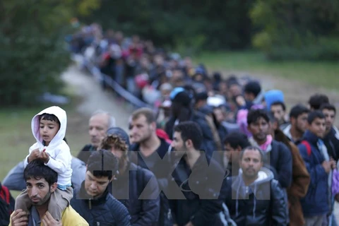 Người di cư vượt qua cửa khẩu biên giới tại Zakany, Hungary. (Nguồn: Reuters/TTXVN)