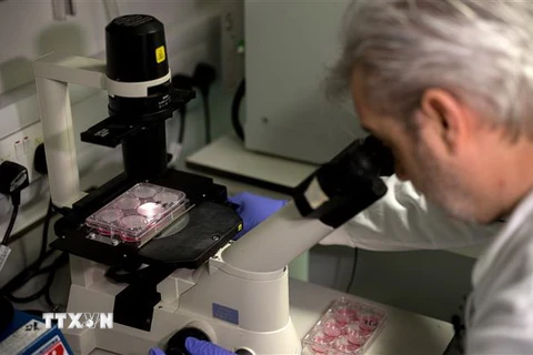 Chuyên gia nghiên cứu vắcxin phòng COVID-19 trong phòng thí nghiệm tại London, Anh. (Ảnh: AFP/TTXVN)
