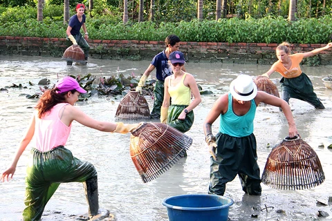 Khách du lịch trải nghiệm đánh bắt cá bằng nơm theo cách truyền thống tại Khu du lịch làng quê Yên Đức (Đông Triều). (Nguồn: Vietnamtourism)
