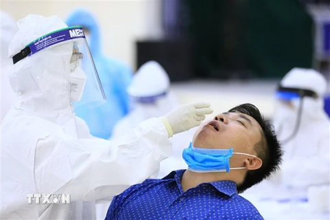 Nhân viên y tế của quận Cầu Giấy, Hà Nội tiến hành lấy mẫu dịch hầu họng của người dân từ Đà Nẵng trở về để xét nghiệm bằng phương pháp RT-PCR. (Ảnh: Thành Đạt/TTXVN)