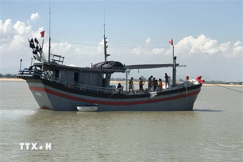 Tàu cá Phú Yên chủ động vào bờ tránh trú bão. (Ảnh: Phạm Cường/TTXVN)