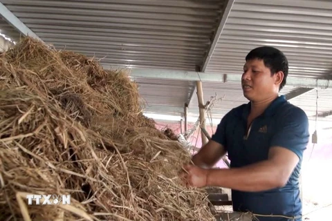 Anh Lê Đức Hà ở xã Văn Hóa, huyện Tuyên Hóa, tỉnh Quảng Bình bắt tay cải tạo chuồng nuôi để tái sản xuất sau lũ. (Ảnh: Võ Dung/TTXVN)