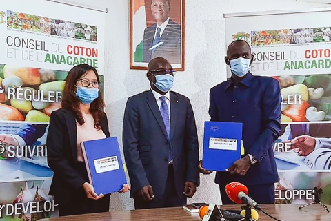 Đại diện Tập đoàn T&T Group và đại diện Liên minh các nhà xuất khẩu điều Côte d'Ivoire ký kết hợp đồng thu mua 150.000 tấn điều thô dưới sự chứng kiến của Hội đồng Bông và Điều Côte d'Ivoire. (Nguồn: Vietnam+)
