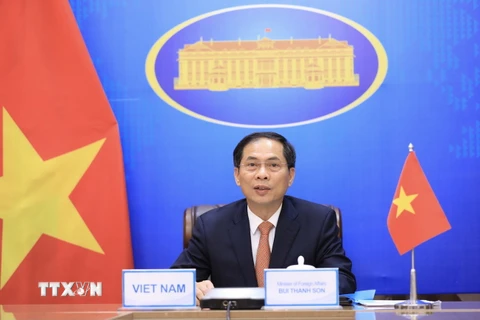 Bộ trưởng Bộ Ngoại giao Bùi Thanh Sơn tại Hội nghị Bộ trưởng Ngoại giao Hợp tác Mekong-sông Hằng lần thứ 11 theo hình thức trực tuyến. (Ảnh: Lâm Khánh/TTXVN)