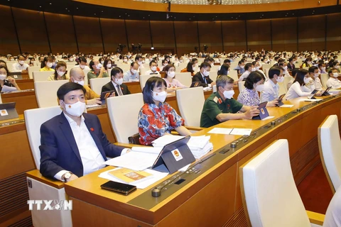 Đoàn đại biểu Quốc hội tỉnh Hải Dương dự phiên họp. (Ảnh: Doãn Tấn/TTXVN)