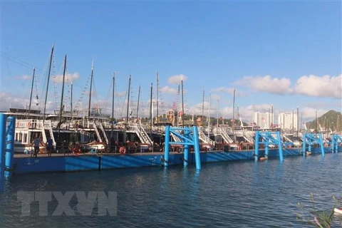 Đội tàu du lịch của tỉnh Quảng Ninh nằm bờ đã nhiều tháng không có khách. (Ảnh: TTXVN)