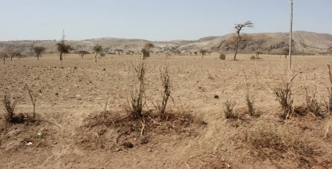 Hạn hán ở Ethiopia. (Nguồn: Helpage.org)