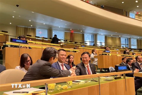 Đoàn Việt Nam tham dự phiên họp bỏ phiếu và công bố kết quả thành viên Hội đồng Nhân quyền Liên hợp quốc. (Ảnh: TTXVN phát)