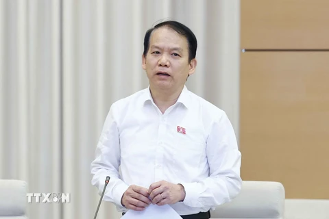 Chủ nhiệm Ủy ban Pháp luật của Quốc hội Hoàng Thanh Tùng phát biểu. (Ảnh: Doãn Tấn/TTXVN)