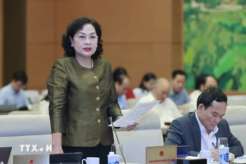 Thống đốc Ngân hàng Nhà nước Việt Nam Nguyễn Thị Hồng phát biểu. (Ảnh: Doãn Tấn/TTXVN)
