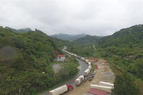 Xe nông sản ùn ứ dài trên Quốc lộ 1A lên cửa khẩu quốc tế Hữu Nghị, Lạng Sơn. (Ảnh: Quang Duy/TTXVN)