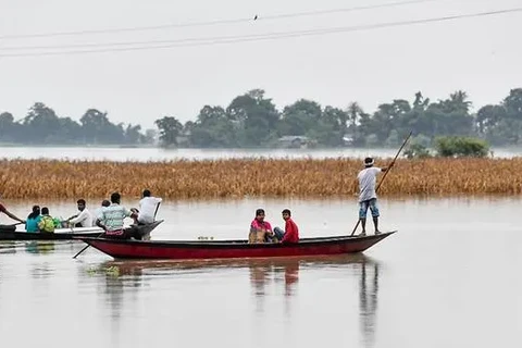 Cảnh ngập lụt tại Murkata, Assam. (Nguồn: AFP)