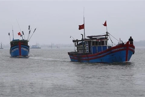 Tàu thuyền của ngư dân Việt Nam. (Ảnh minh họa. Hồ Cầu/TTXVN)