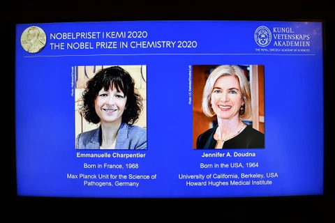 Chân dung hai nhà khoa học nữ Emmanuelle Charpentier (trái, người Pháp) và Jennifer A. Doudna (người Mỹ) đoạt giải Nobel Hóa học 2020 trong cuộc họp báo công bố giải Nobel ở Stockholm, Thụy Điển ngày 7/10/2020. (Ảnh: AFP/TTXVN)