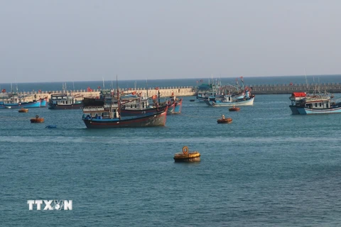 Tàu cá của ngư dân Việt Nam vươn khơi khai thác hải sản. (Ảnh: TTXVN)