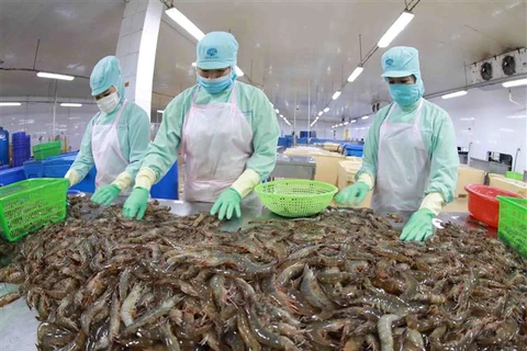 Lạm phát châu Âu gây tác động đa chiều đến xuất khẩu thủy sản Việt Nam