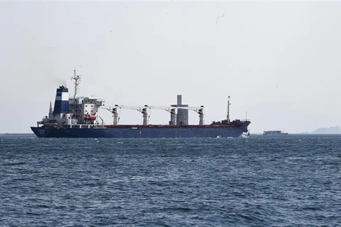 Ukraine: Thêm 5 tàu chở ngũ cốc cùng khởi hành từ Chornomorsk 