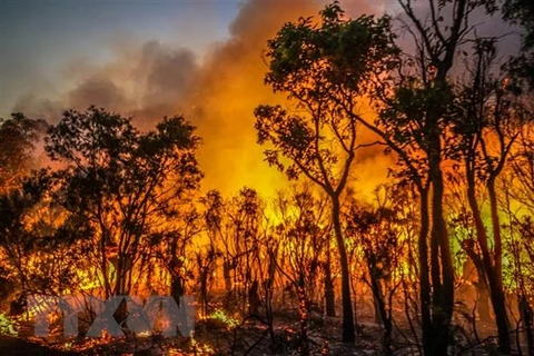 Australia sử dụng máy bay không người lái để ứng phó với cháy rừng