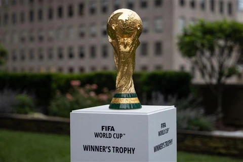 Saudi Arabia sẽ cấp thị thực cho khán giả xem World Cup tại Qatar