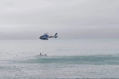 Tàu chở 11 người bị lật ngoài khơi New Zealand do va chạm với cá voi