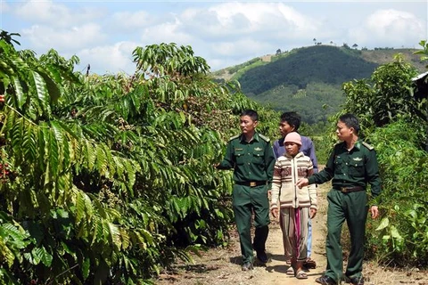 Kon Tum: Chiến sỹ biên phòng cùng dân 13 xã biên giới tất bật đón Tết