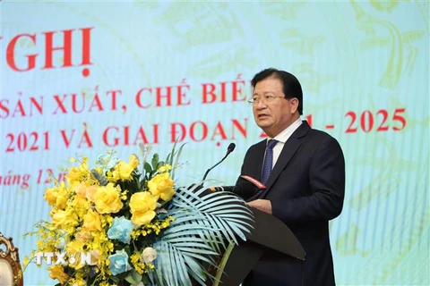 Phó Thủ tướng Trịnh Đình Dũng phát biểu chỉ đạo Hội nghị. (Ảnh: Bích Huệ - TTXVN)