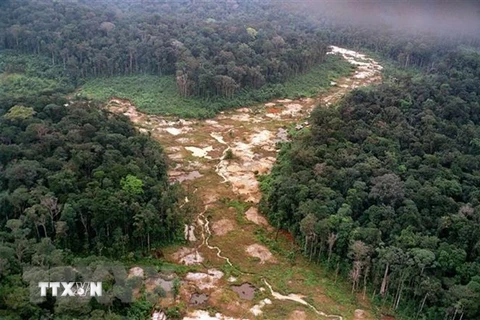 Khoảng rừng Amazon bị chặt phá tại Brazil. (Ảnh: AFP/ TTXVN) 