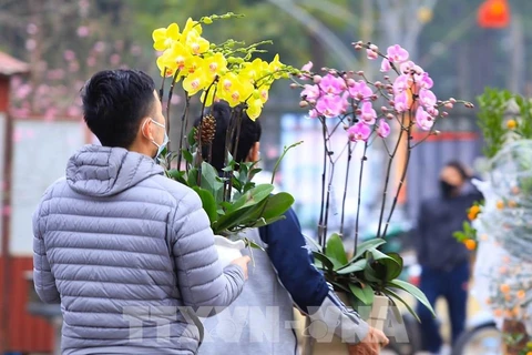 Lượng khách đến chợ hoa năm nay giảm hẳn do dịch COVID-19. (Ảnh: Thùy Dung - TTXVN) 