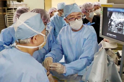 Ca phẫu thuật chữa bệnh tim thành công cho một thai nhi trong bụng mẹ ở Nhật Bản. (Nguồn: Kyodo)