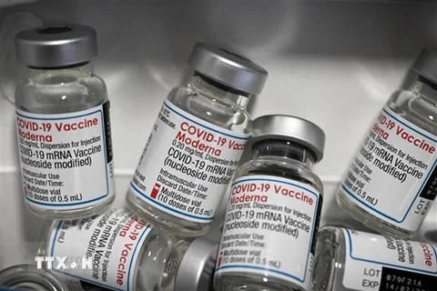 Vaccine ngừa COVID-19 của Hãng dược phẩm Moderna. (Ảnh: AFP/TTXVN) 