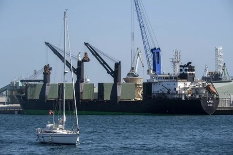 Một con tàu chở 7.000 tấn ngũ cốc đã khởi hành từ cảng Berdyansk của Ukraine. (Nguồn: AFP) 