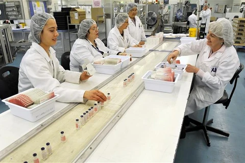 Công nhân làm việc trong dây chuyền sản xuất vaccine tại cơ sở của Tập đoàn y tế Australia CSL ở Melbourne (Australia). (Ảnh: AFP/TTXVN)