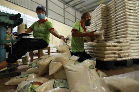 Đóng gói gạo tại công ty kinh doanh chế biến nông sản Bảo Minh ở quận Hoàng Mai (Hà Nội). (Ảnh: Vũ Sinh/TTXVN)