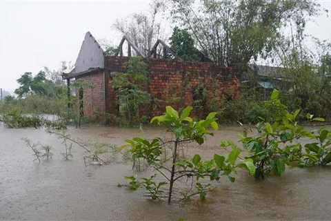 Nhiều xã vùng trũng của huyện Hải Lăng (Quảng Trị) ngập sâu trong nước trong vài ngày qua. (Ảnh: Thanh Thủy/TTXVN)
