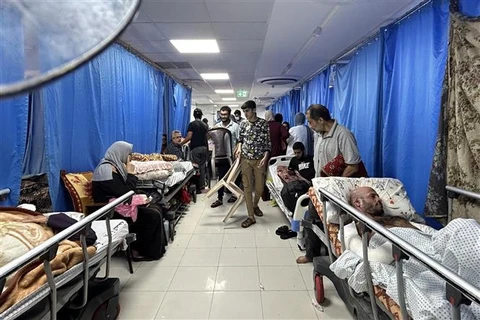 Bệnh nhân được điều trị tại bệnh viện Al-Shifa ở Gaza ngày 10/11/2023. (Ảnh: AFP/TTXVN)
