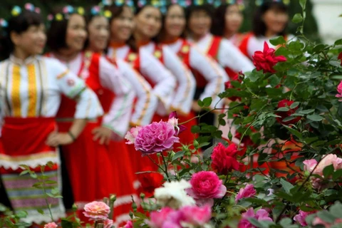 Hoa hồng khoe sắc trong Ngày hội Hoa hồng Bulgaria và Bạn bè lần thứ hai. (Ảnh: Thanh Tùng/TTXVN)