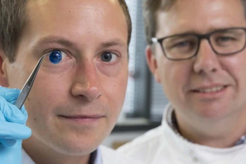 Tiến sỹ Steve Swioklo (trái) và giáo sư Che Connon với giác mạc được in 3D (Nguồn: Đại học Newcastle)