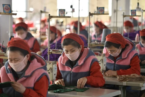 Công nhân ở Bình Nhưỡng sản xuất khẩu trang. (Nguồn: Getty Images) 