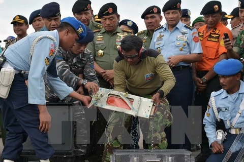 Indonesia: Tai nạn máy bay QZ8501 "không phải do khủng bố" 