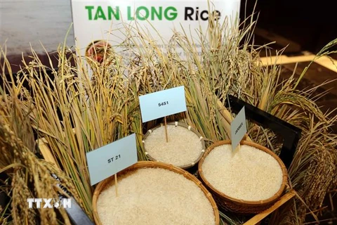 Sản phẩm gạo của Công ty Tân Long đến từ tỉnh Đồng Tháp. (Ảnh: Trần Việt/TTXVN)