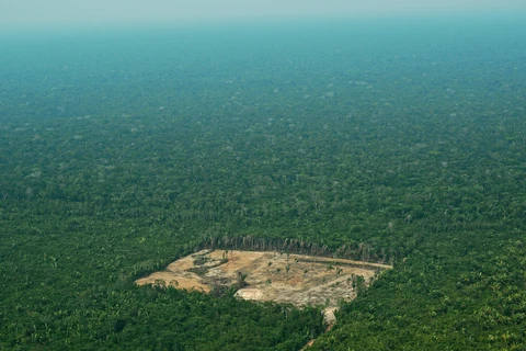 Khoảng rừng bị chặt phá ở khu vực Tây Amazon, Brazil, ngày 22/9/2017. (Ảnh: AFP/ TTXVN)