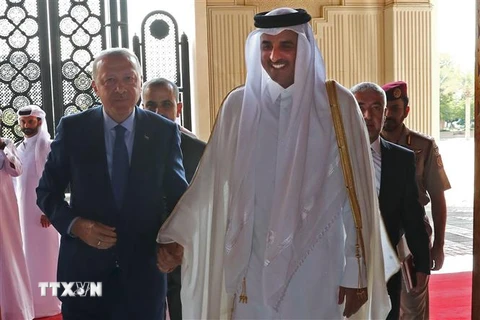 Tổng thống Thổ Nhĩ Kỳ Recep Tayyip Erdogan (trái) và Quốc vương Qatar Tamim bin Hamad Al Thani (phải) tại cuộc gặp ở Doha ngày 25/11/2019. (Ảnh: AFP/TTXVN)
