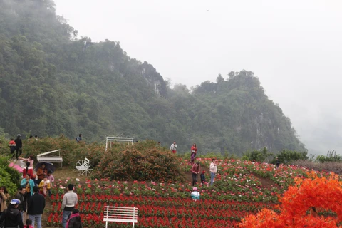 Du khách thăm quan các địa điểm du lịch tại Bình nguyên xanh Khai Trung, xã Khai Trung, huyện Lục Yên. (Ảnh: Tuấn Anh/TTXVN)