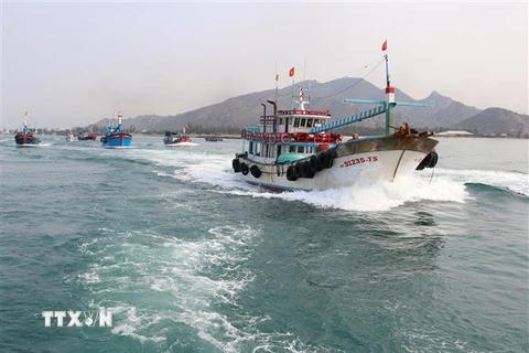 Đội tàu cá tỉnh Ninh Thuận. (Ảnh: Nguyễn Thành/TTXVN)