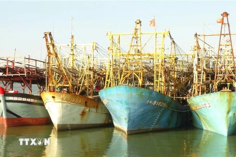 Tàu đánh bắt cá xa bờ của ngư dân Quảng Nam chuẩn bị rời bến đến ngư trường Hoàng Sa, Trường Sa truyền thống. (Ảnh minh họa: Hữu Trung/TTXVN)