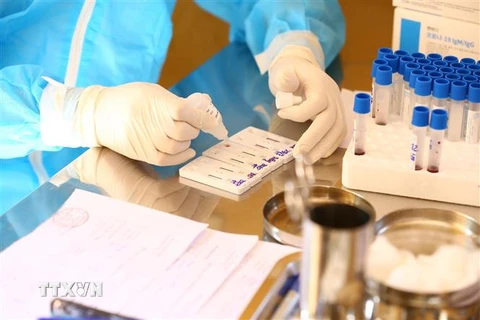 Nhân viên y tế lấy mẫu xét nghiệm của người dân xã Mai Đình, huyện Sóc Sơn, Hà Nội. (Ảnh: Minh Quyết/TTXVN)