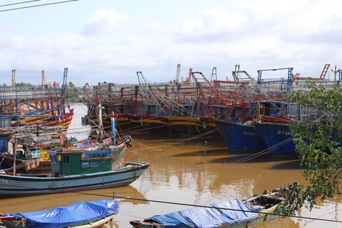 Tàu thuyền ngư dân trong tỉnh Quảng Trị và nhiều tỉnh thành khác đã neo đậu an toàn tại khu neo đậu tránh trú bão xã Triệu An, huyện Triệu Phong. (Ảnh: Hồ Cầu/TTXVN)