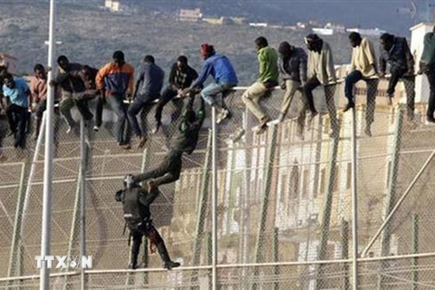 Lực lượng dân phòng nỗ lực ngăn người di cư vượt hàng rào biên giới để vào Melilla, vùng lãnh thổ thuộc Tây Ban Nha ở Bắc Phi, ngày 15/10/2014. (Ảnh: EPA/TTXVN)