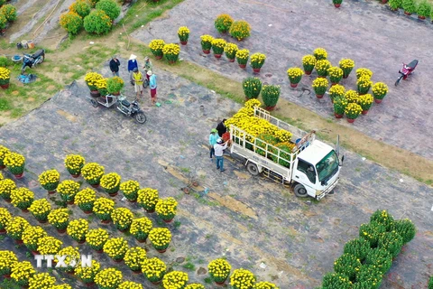 Xe vận chuyển hoa từ làng hoa Dương Sơn đi các nơi phục vụ thị trường Tết 2021. (Ảnh: Trần Lê Lâm/TTXVN)