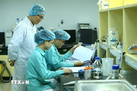 Việt Nam tăng cường nghiên cứu phát triển vaccine COVID-19. (Ảnh: TTXVN)